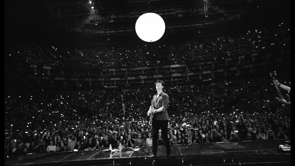 Shawn Mendes Batal Konser Dunia Demi Kesehatan Mental?