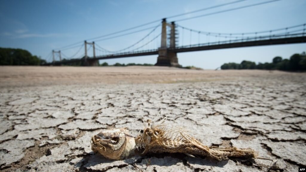 Daratan Eropa Dilanda Kekeringan Terparah Sepanjang Sejarah