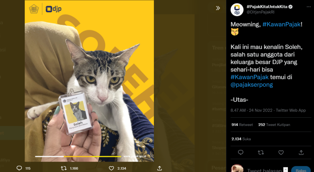 Yuk, Kenalan dengan “Soleh”, Si Pegawai Kucing Ditjen Pajak Pembawa Keceriaan di KPP Pratama Serpong