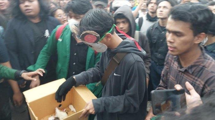Sumber: Tribunnews.com