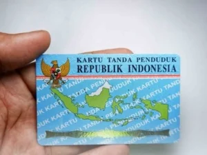 Sumber: Liputan6.com