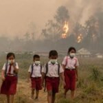 The Smoke Just Won’t Go Away: Why Do Forest and Land Fires Keep Recurring and Getting Worse?