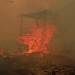 Beyond Burning Forests: The Wildfire Threat to Climate Targets and the Air We Breathe